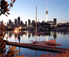Auckland Image